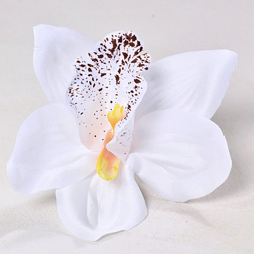 Orchid White D14cm