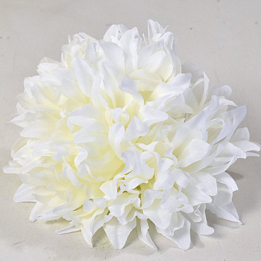 Chrysanthème D16cm Crème