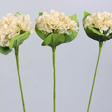 Hortensia 75cm blanc
