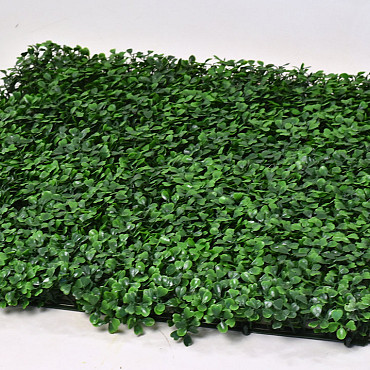 Boxwood mat 25x25cm