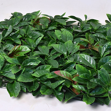 Green Plant Mat Photinia 50x50cm