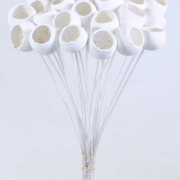 Bell Cup on 50cm stem white