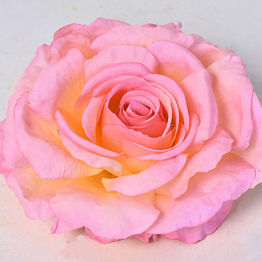 Rose D14cm Rosa Gelb
