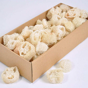 Luffa Slices Bleached 100gr.