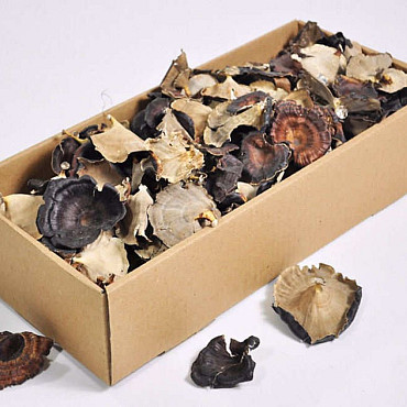 Golden Mushroom 200gr.