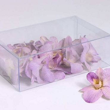Orchid Mauve 20pcs