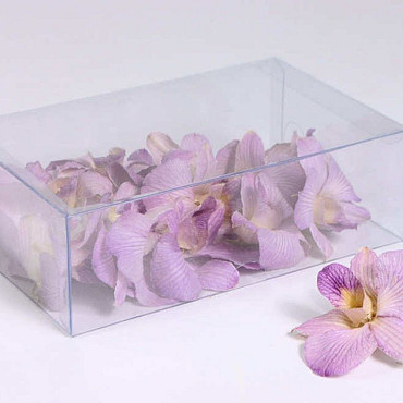 Orchidee Mauve 20pcs