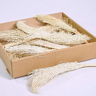 Torche de Palmier Blanchi 15-Pack