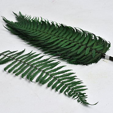 Fern Parchment Fern 40cm 10-Pack