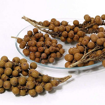 Rattan Fruit 500grams