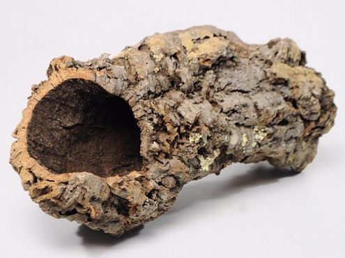 49 Best Pictures Cheap Vivarium Decorations : All Wood Rock Decor For Live Vivariums Bioactive Terrariums Neherp Your One Stop Vivarium Shop