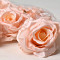 Rose Satin Peach D11cm