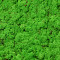 Lichen stabilisé Vert Herbe Clair par kg
