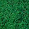 Reindeer Moss Grass Green per kg