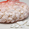 Shells White Chippi Small 1kg