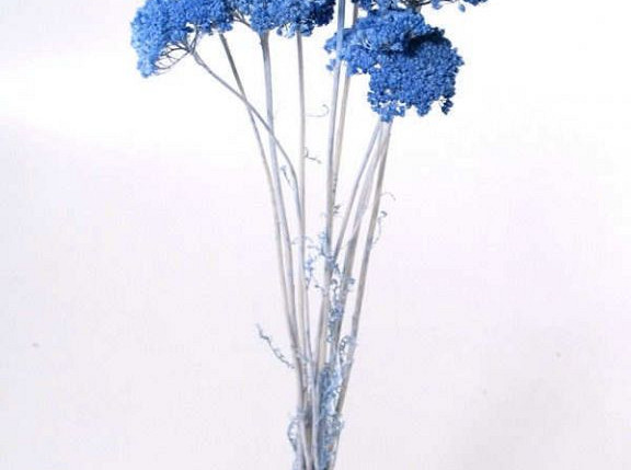 Bouquet Achillea Parker Bleu Clair 70cm