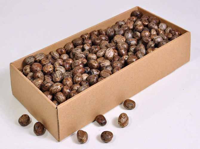 Rubro Nuts 1.5kg.
