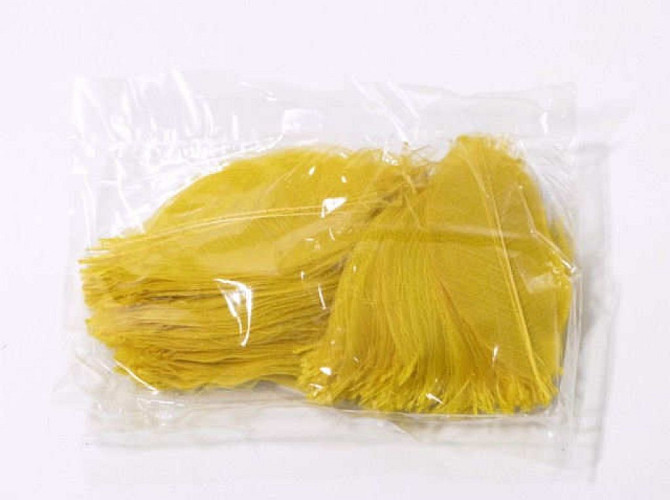 Skeleton Leaf yellow 200pack