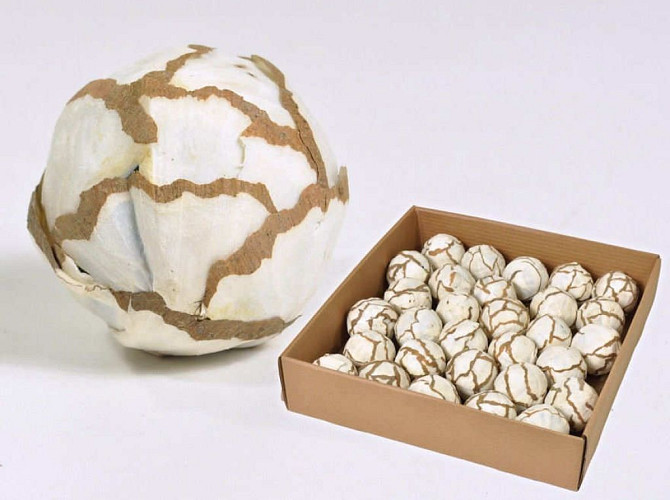 Sola Cabbage Ball 6cm 27-Pack