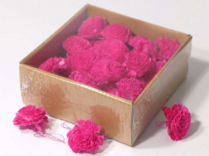 Sola Carnation 5cm Pink 25pcs