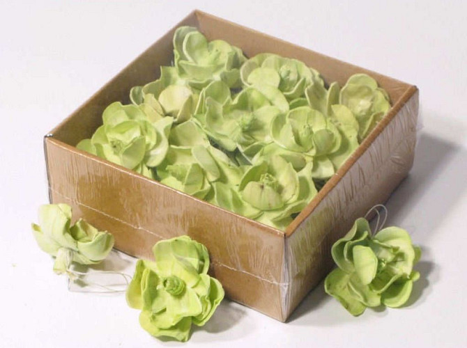 Sola Magnolia 6cm Green 18pcs