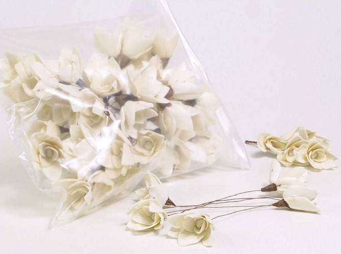 Sola Tulpe 6cm white