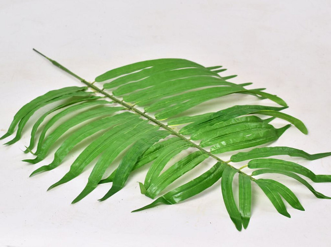 Palm Green 82cm