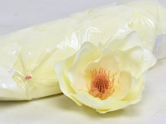 Magnolia D17cm Cream Yellow