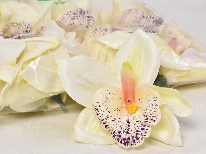 Orchid Cream D14cm