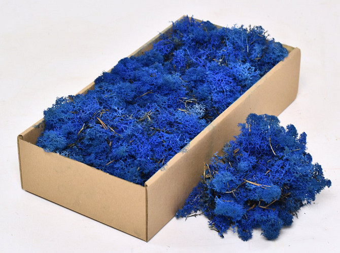 Cladonia Moss Blue 500gr.