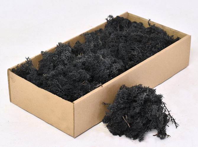 Cladonia Moss Charcoal 500g.