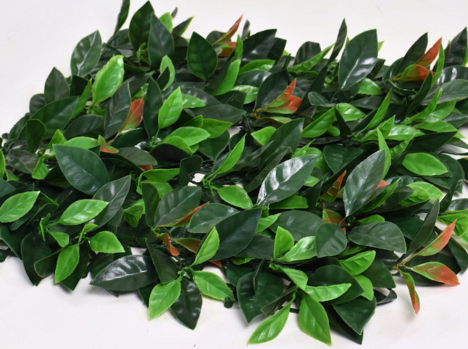 Green Plant Mat Ilex 50x50cm