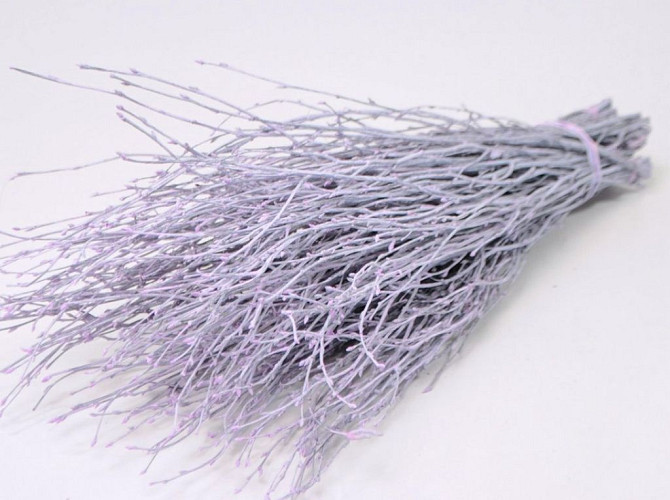 Birch lilac-wash 60cm 50pcs