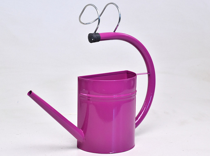 Balcony Watering Can H17cm Fuchsia