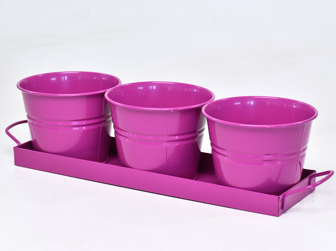 Pflanzer 3St. H11cm Fuchsia