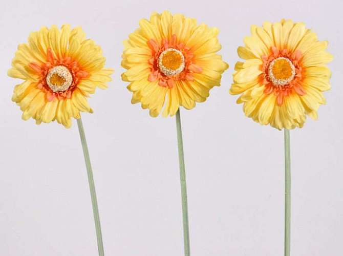 Gerbera 55cm gelb