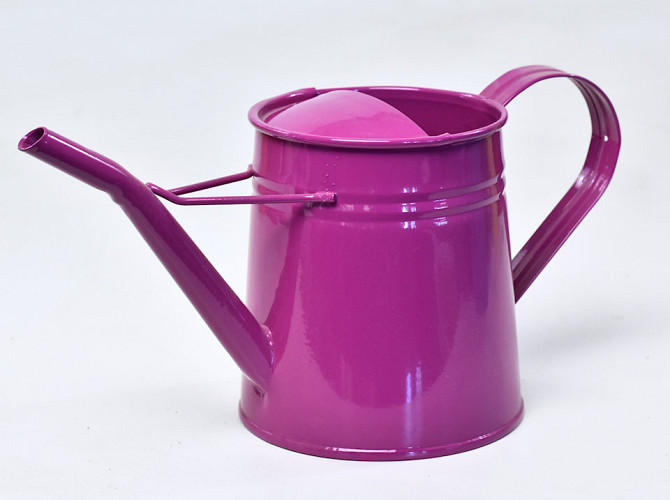 Watering Can H14cm Fuchsia