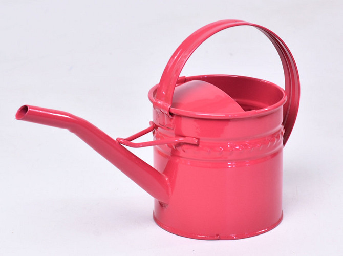 Watering Can H11cm Framboise