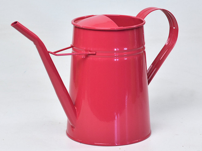 Watering Can H21cm Framboise