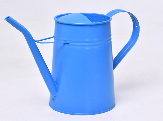 Watering Can H21cm Blue