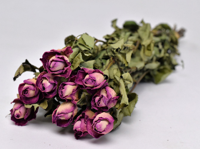 Rose Rosa 40cm