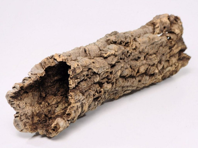 Cork Tube Medium L30-40cm