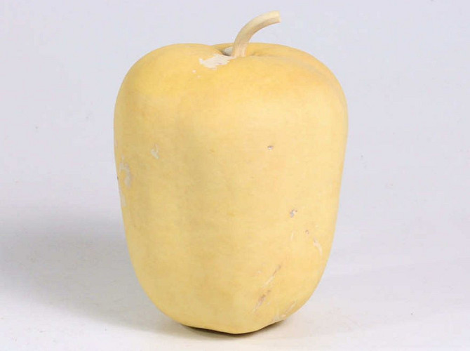 Calabash Apple Bleached 14cm