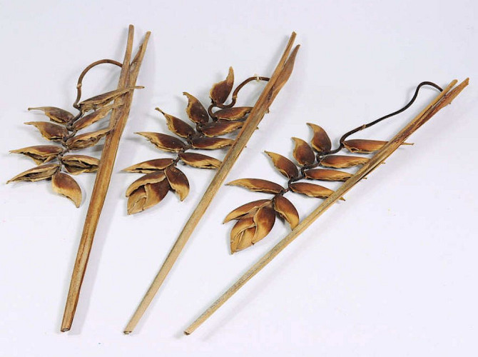 Dried Heliconia 75cm