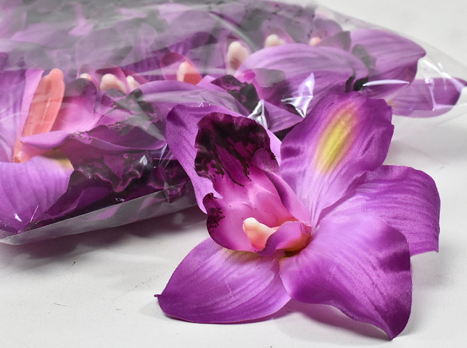 Orchid Purple D16cm