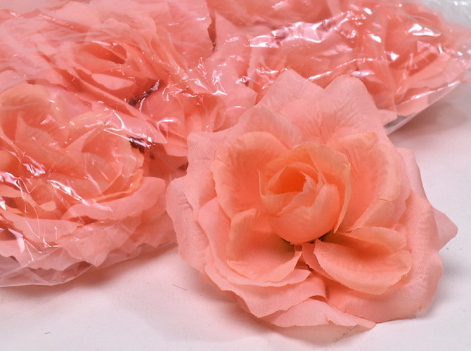 Rose Peach D10cm 