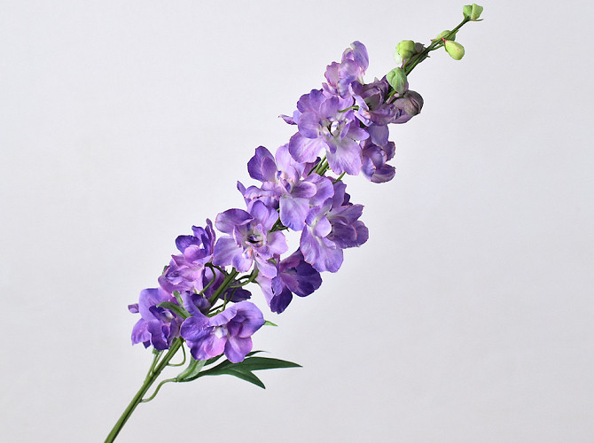 Delphinium Spray Purple 91cm