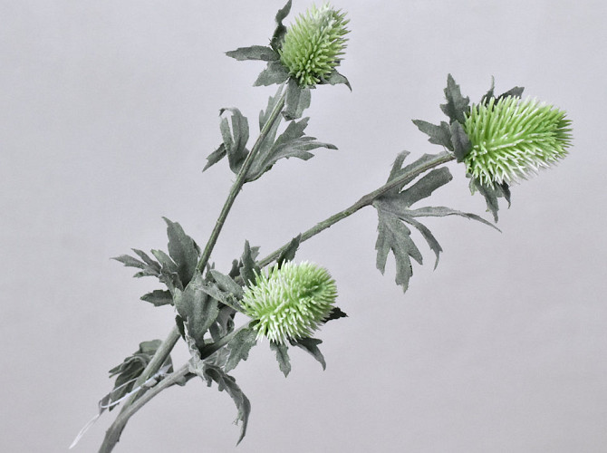 Thistle Spray Green 78cm