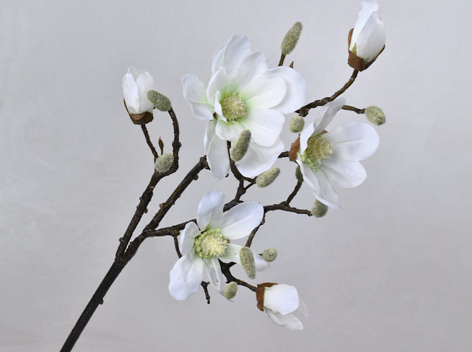 Magnolia Spray White 91cm