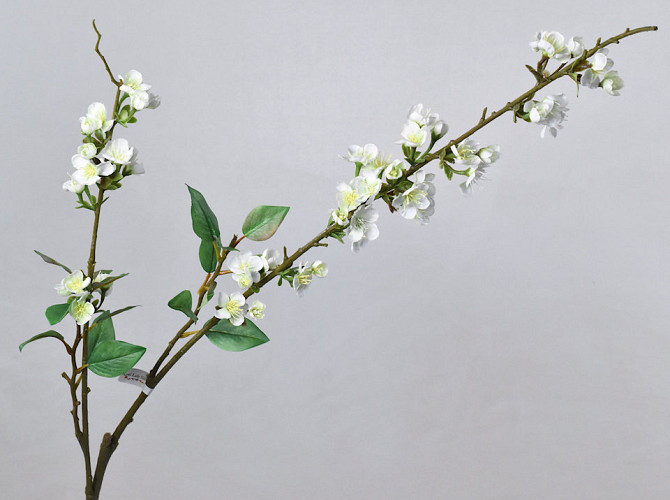 Cherry Blossom White 115cm